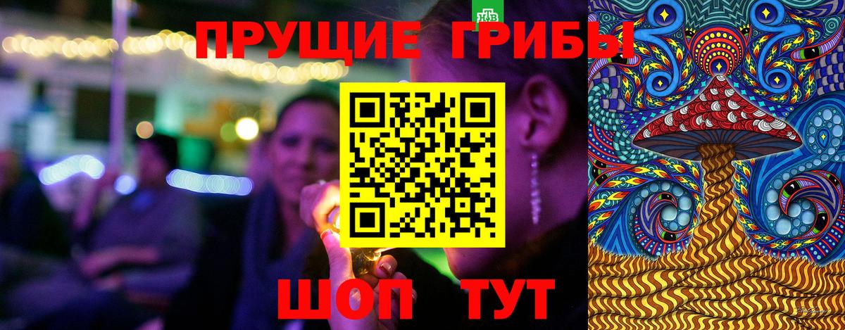 Елабуга  как найти закладки  Вход с VPN  Галлюциногенные грибы прущие грибы  Псилоцибиновые грибы Psilocybine cubensis 