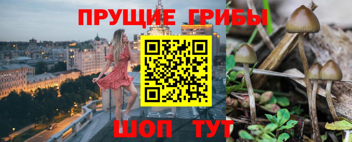 Псилоцибиновые грибы мухоморы Елабуга